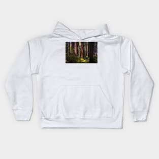 Hiking trail in a redwood forest Kids Hoodie